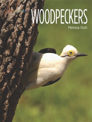 cover image of Woodpeckers